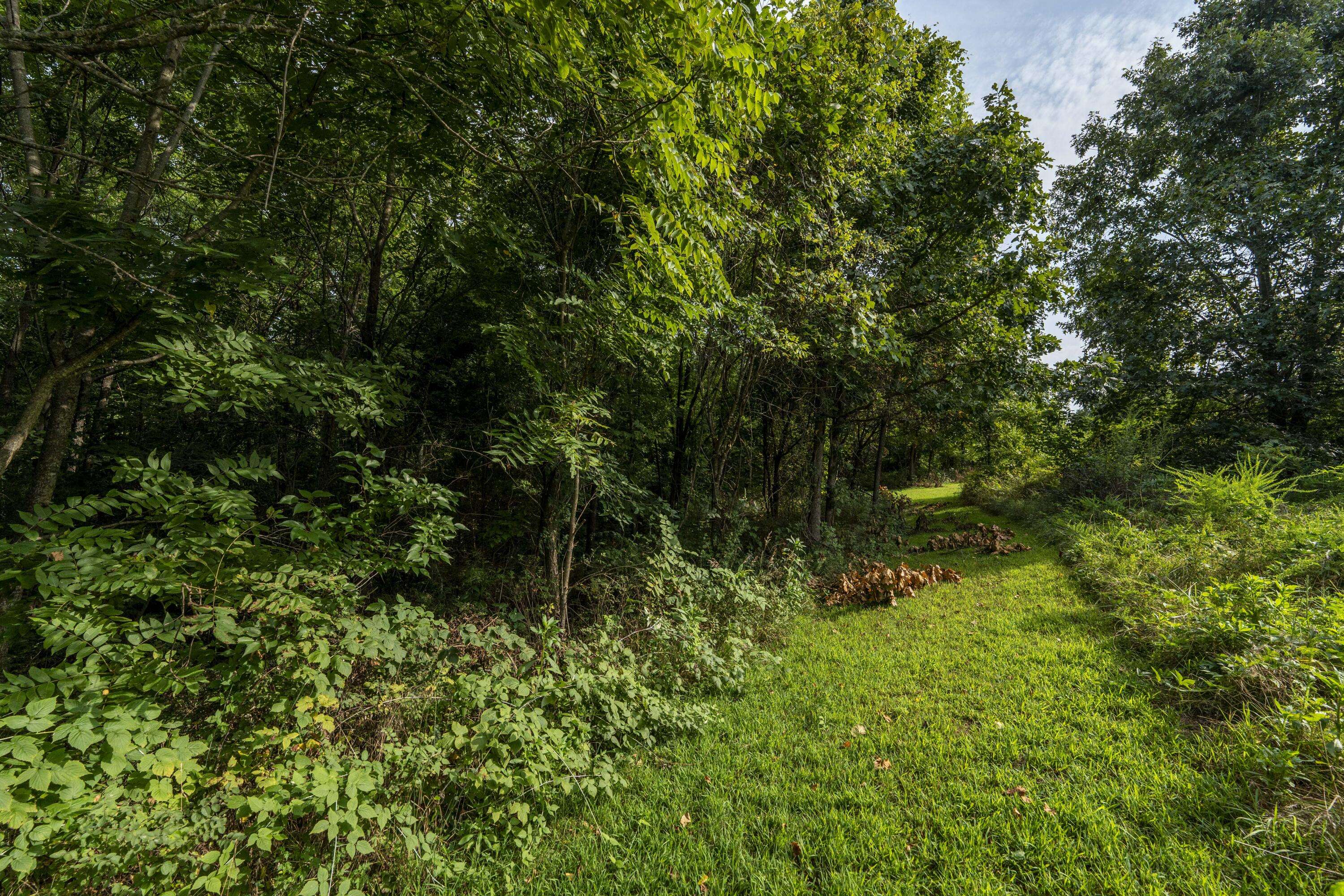 Ozark, MO 65721,235 Peaceful Point