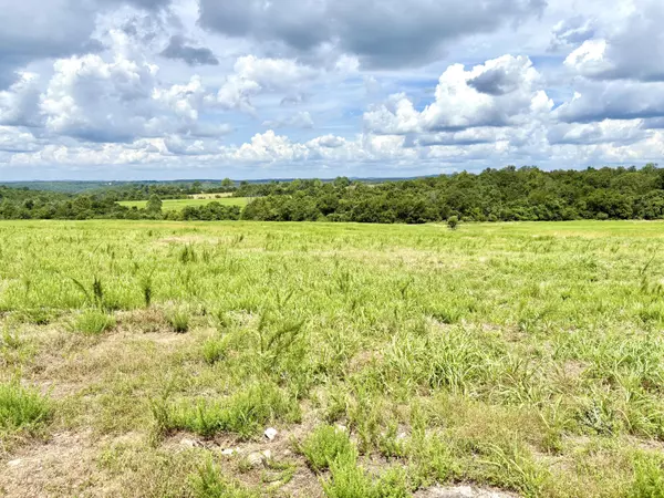 Protem, MO 65733,1020 Lazy Acres RD