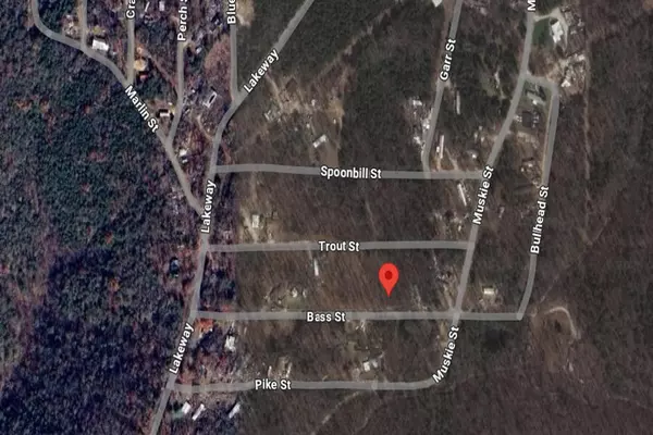 Kissee Mills, MO 65680,255 Bass ST