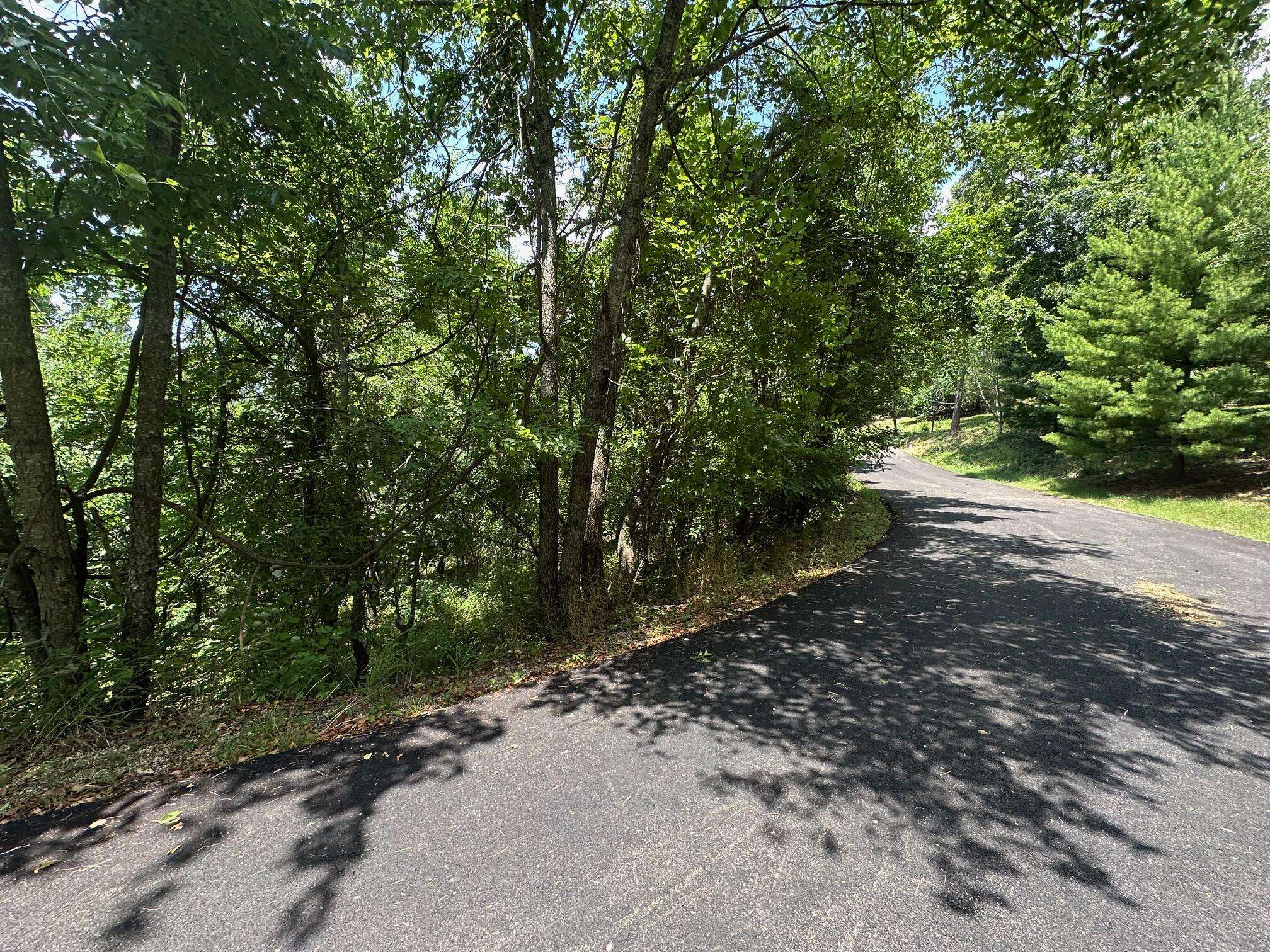 Lot 10 Paola LN, Kimberling City, MO 65686