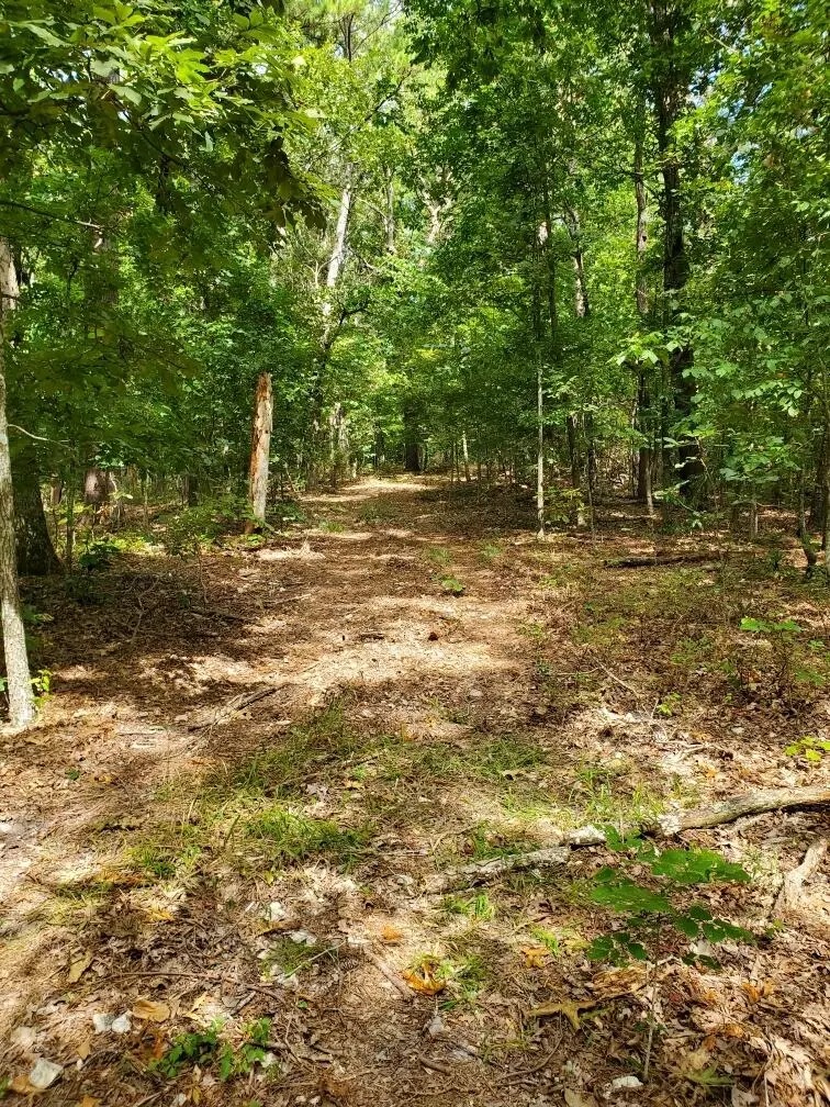 Noel, MO 64854,000 Highway H