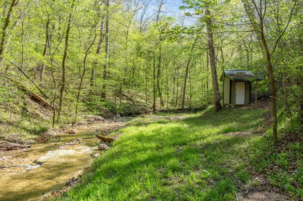 160 Old Horseshoe, Lampe, MO 65681