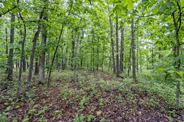 Rogersville, MO 65742,438 Ranch DR
