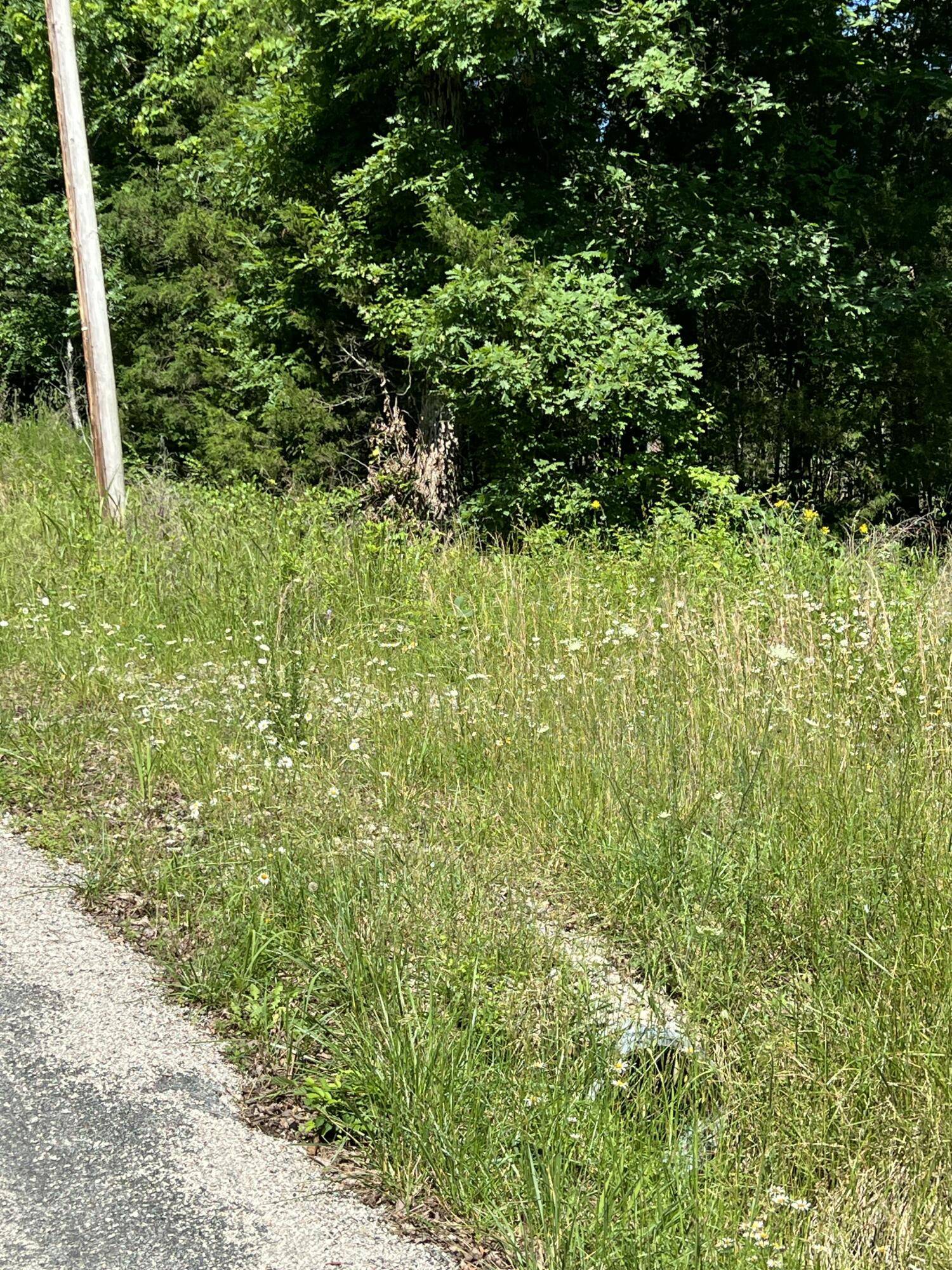 Branson, MO 65616,291 Beaver RD