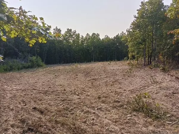 Eminence, MO 65466,000 Whitacre Run