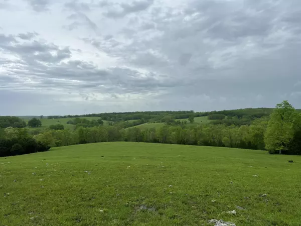 Wasola, MO 65773,68 Moorehaven LN