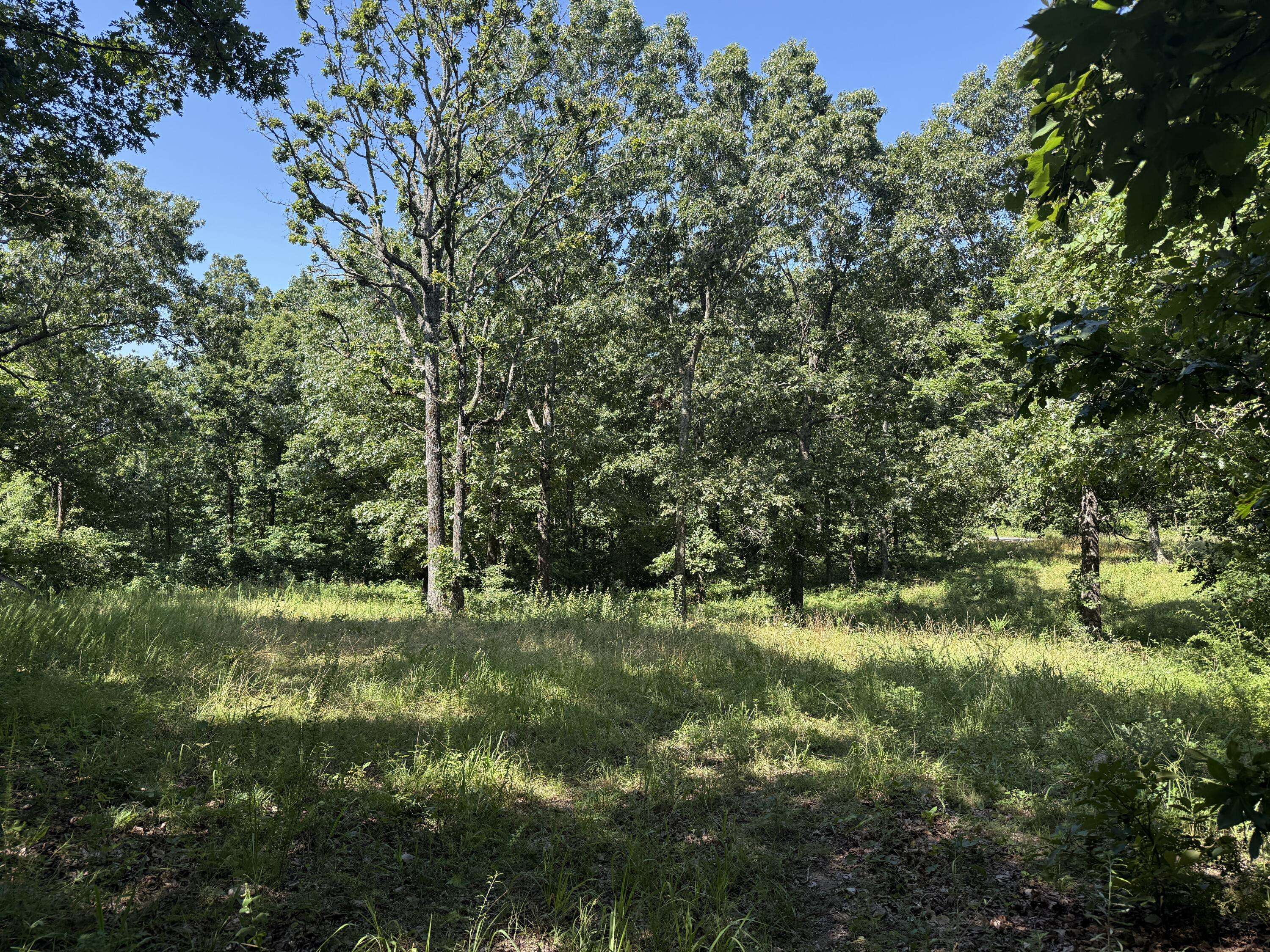 000 Mulberry Drive, Mountain Grove, MO 65711