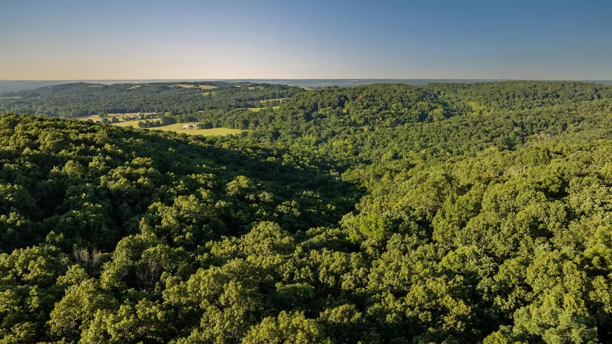 Aurora, MO 65605,000 Farm Road 1190