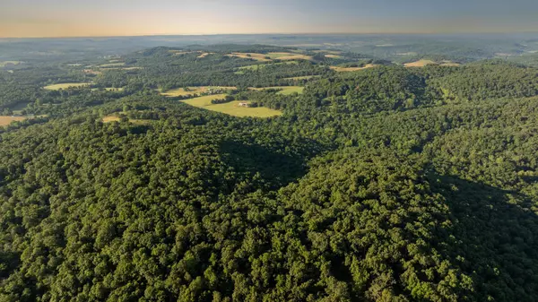 Aurora, MO 65605,000 Farm Road 1190