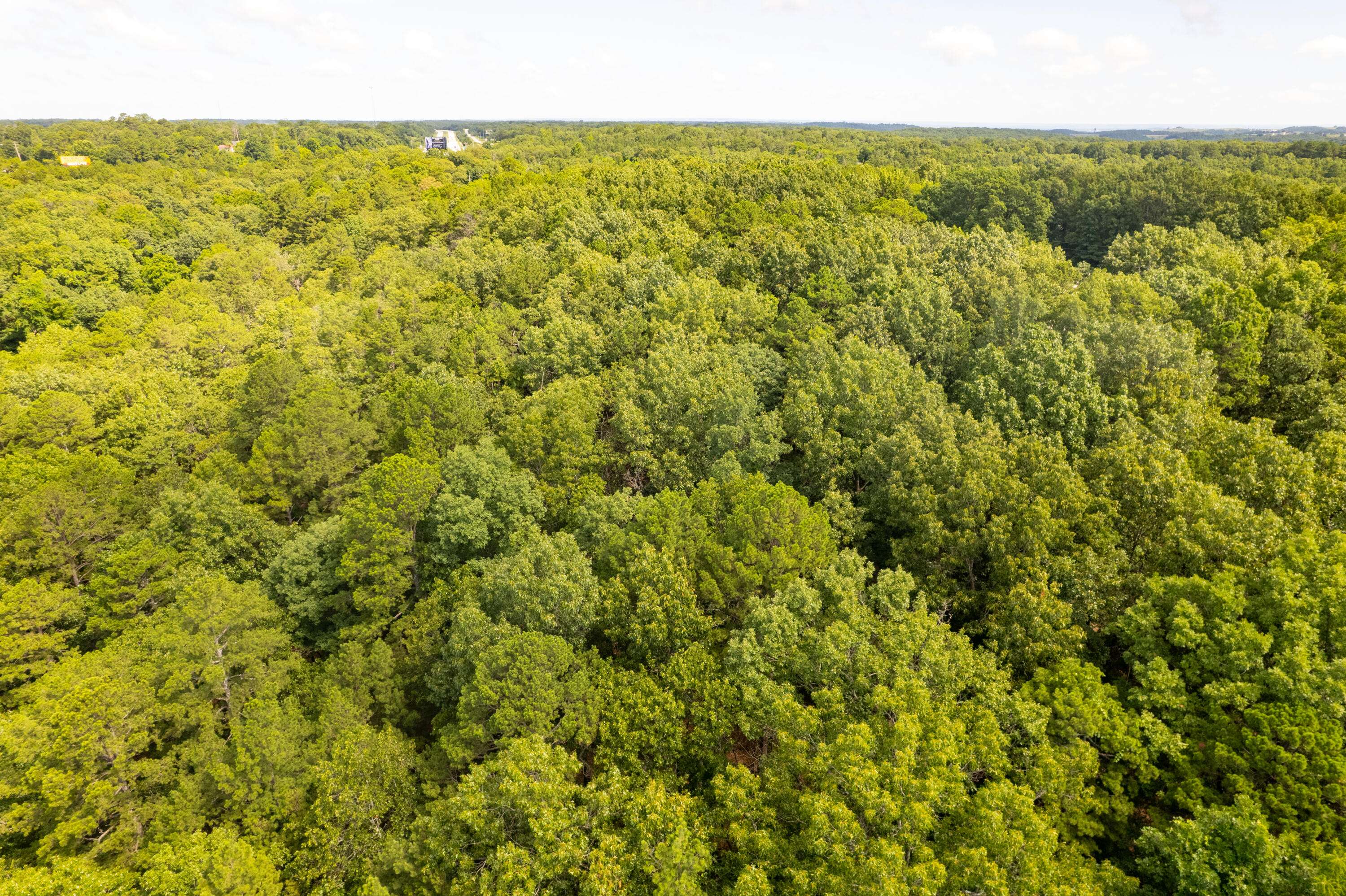 Ridgedale, MO 65739,Address not disclosed