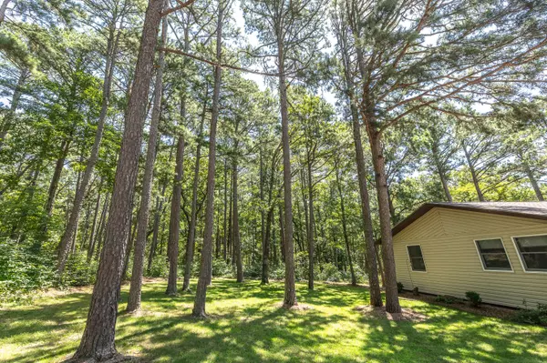 Licking, MO 65542,11545 Slaughter Road