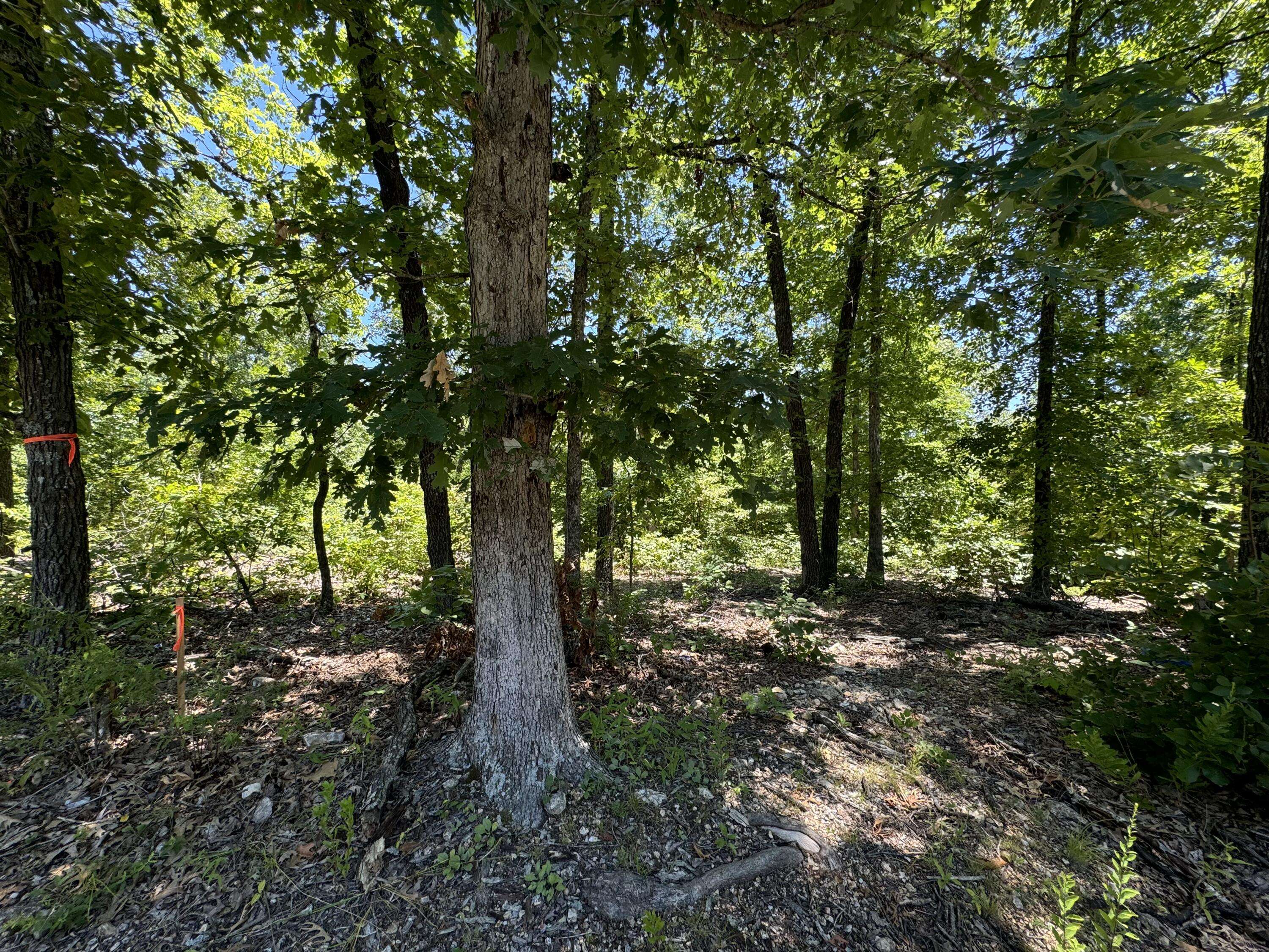 Sparta, MO 65753,Tbd State Highway 14 E