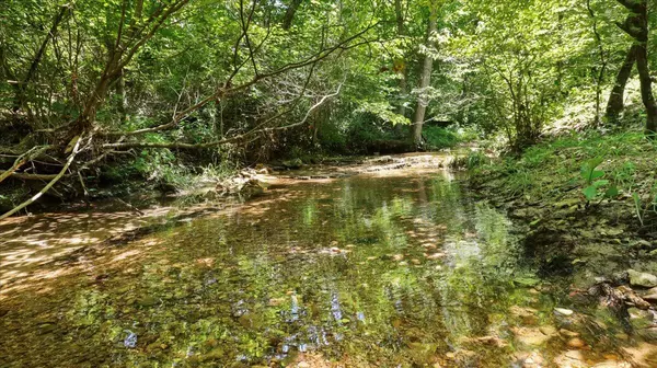 Ava, MO 65608,000 County Road 76-114