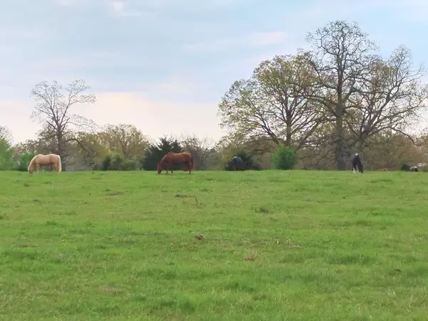 West Plains, MO 65775,000 County Road 4300