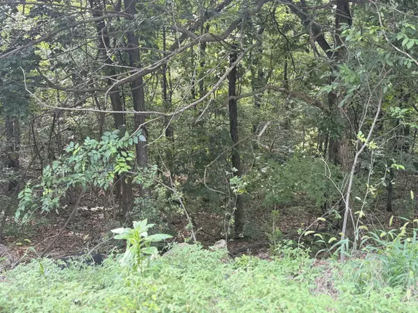 Hollister, MO 65672,350 Emerald Isle DR