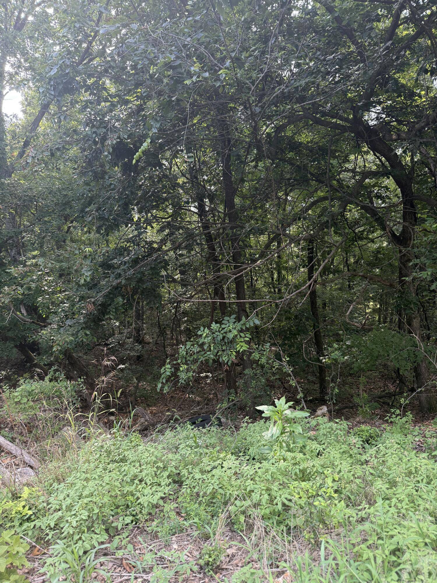 Hollister, MO 65672,350 Emerald Isle DR