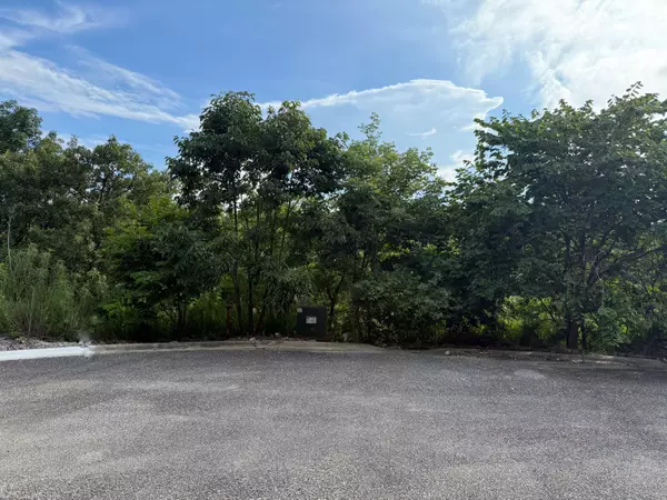 Hollister, MO 65672,347 Lake Cove CIR