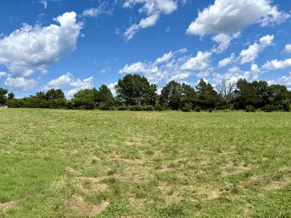 Theodosia, MO 65761,001 Tbd County Road 900
