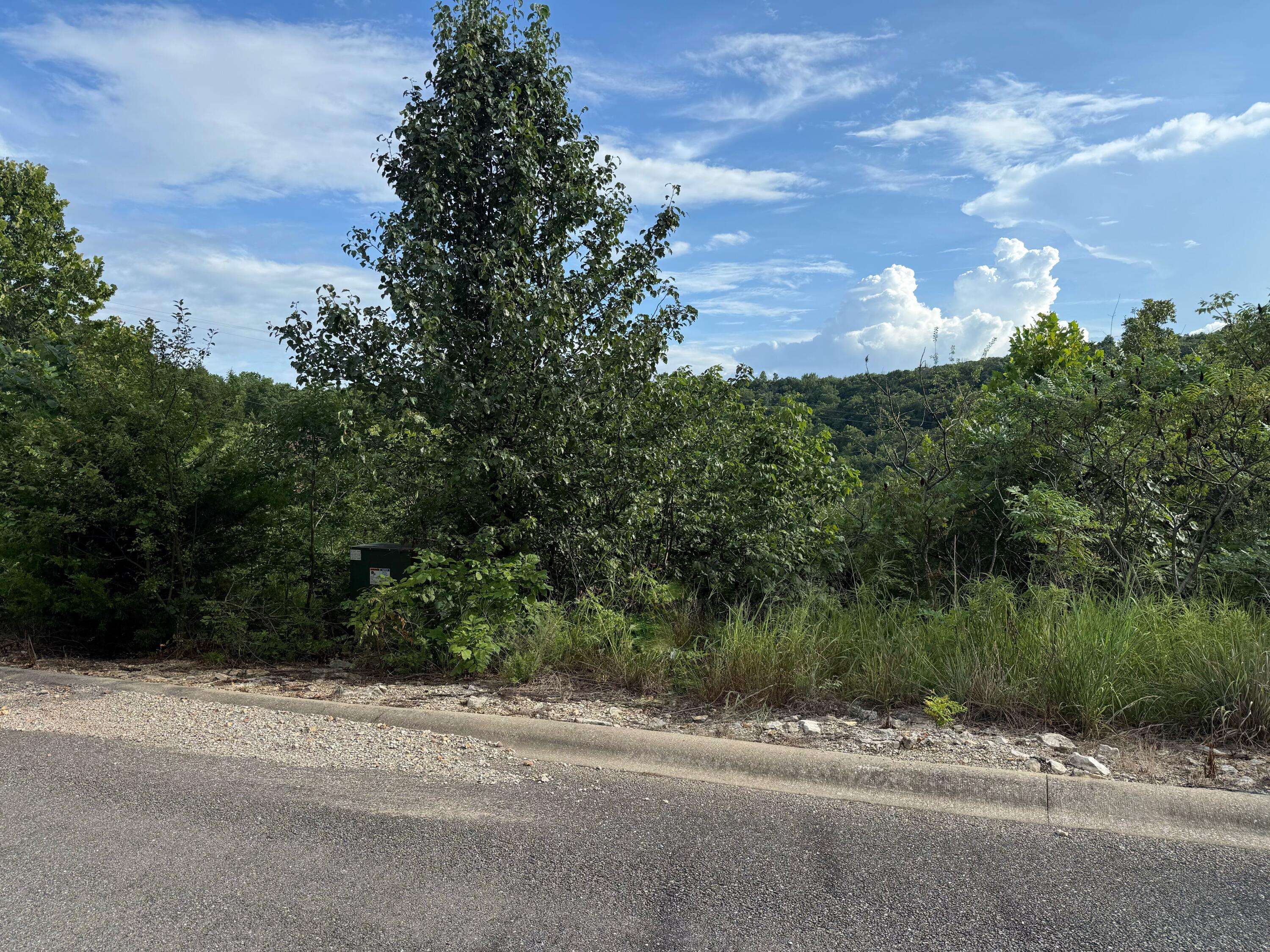Hollister, MO 65672,344 Lake Cove CIR