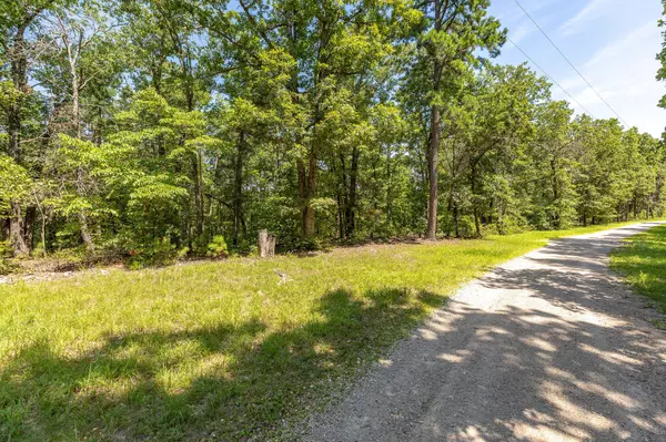 Ridgedale, MO 65739,Tbd 90 Ravenwood Way
