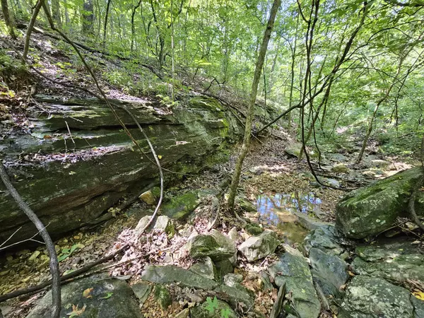 Anderson, MO 64831,65 Acres Plainview RD
