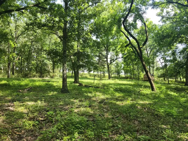 Norwood, MO 65717,0 Highway 76