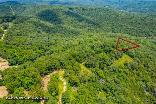 Galena, MO 65656,Lot 8 Cliffside DR