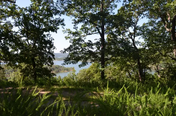 Galena, MO 65656,Lot 10 Cliffside DR