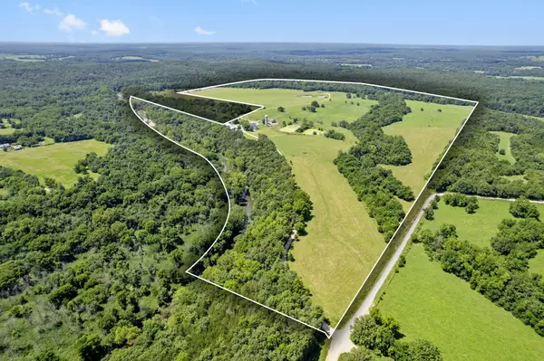 Long Lane, MO 65590,223 Roberts RD