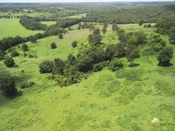 Hartville, MO 65667,000 Highway E