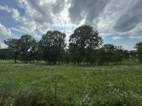 Vanzant, MO 65768,000 Near Se Corner Of Hwys 95 & 76