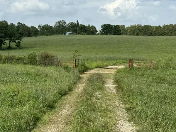 Vanzant, MO 65768,000 Near Sw Corner Of Hwys 95 & 76