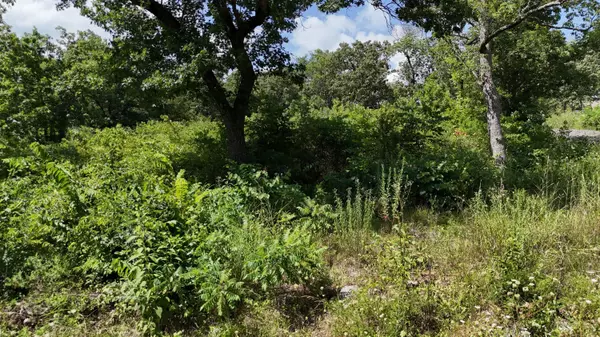 Eagle Rock, MO 65641,000 Walnut DR