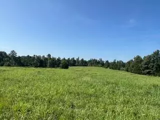 Summersville, MO 65571,000 Harlow RD