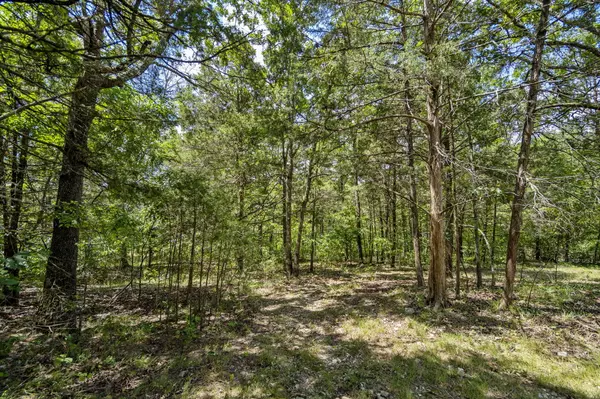 Kirbyville, MO 65679,130 Brittain CT