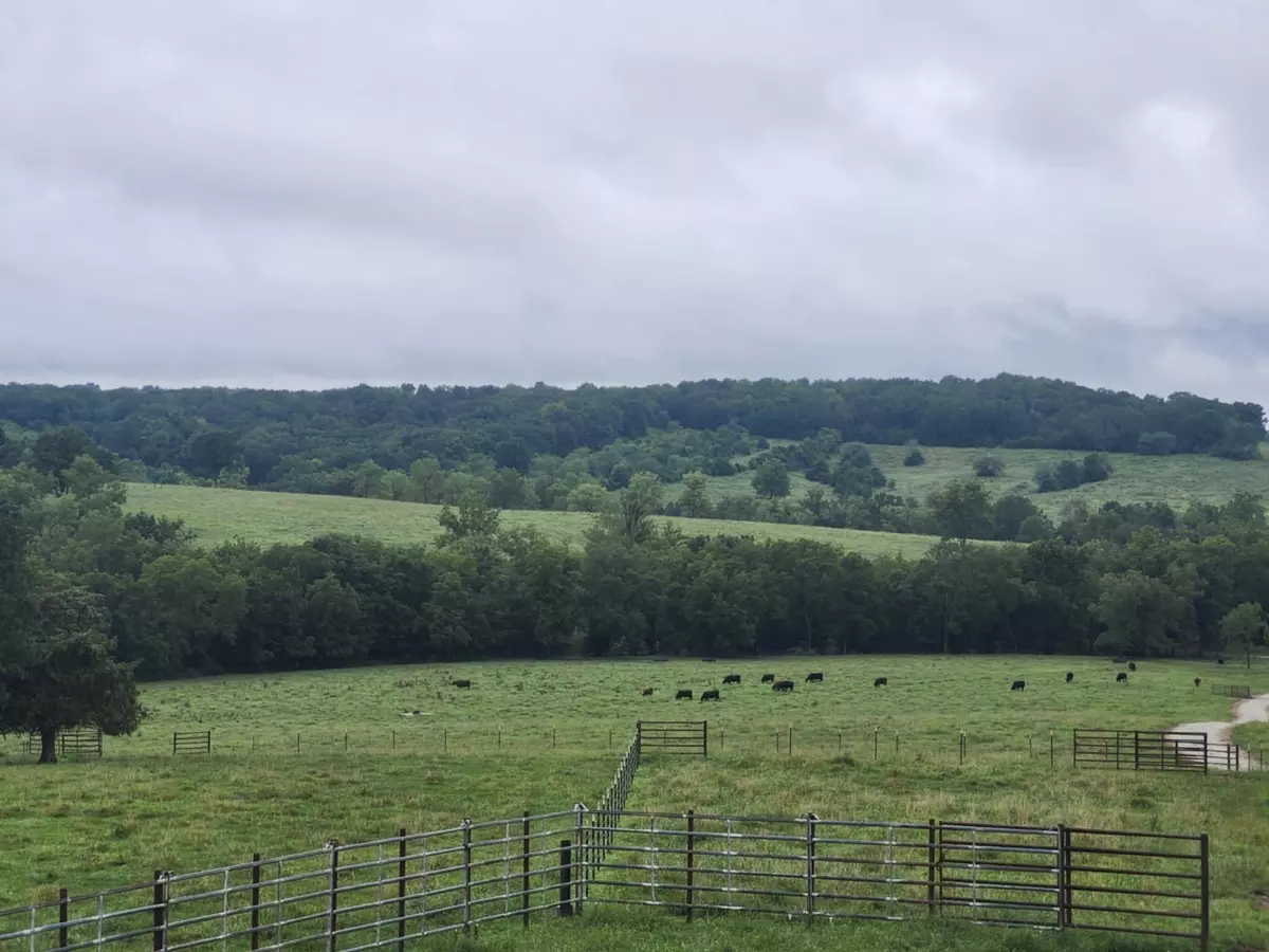 Mountain Grove, MO 65711,9551 Highway Ff