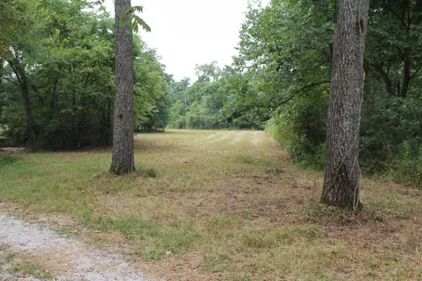 Seymour, MO 65746,1721 Matney Hollow RD