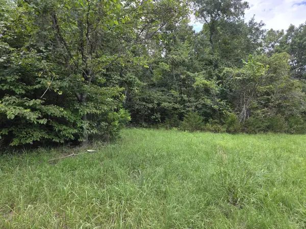 Tecumseh, MO 65760,319a Lot 14 Millwood Acres