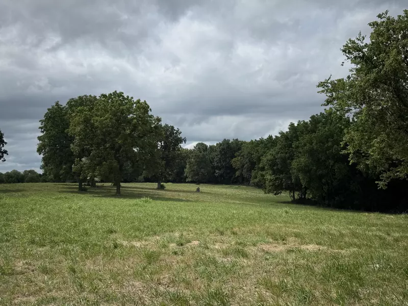 000 S 142nd RD, Morrisville, MO 65710