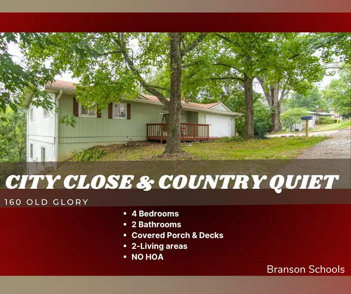 160 Old Glory RD, Branson, MO 65616