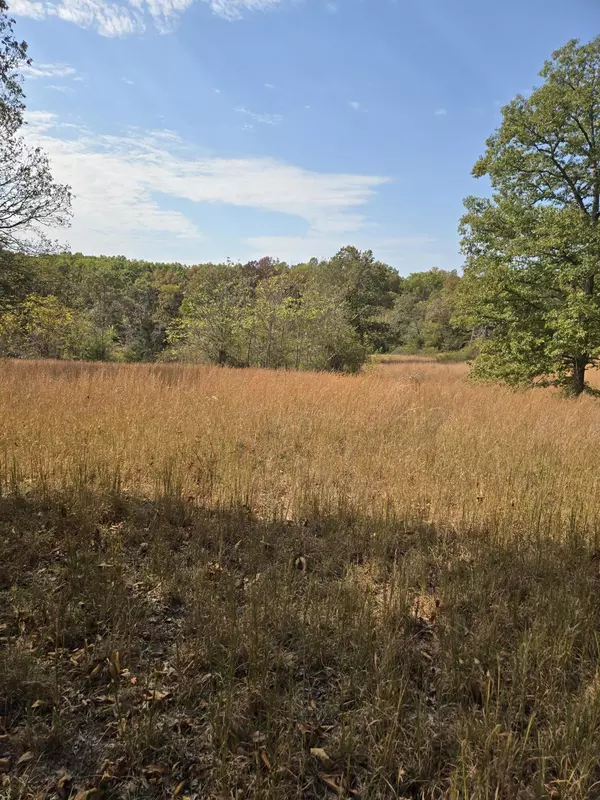 Lot 4 Arden Ridge, Ava, MO 65608