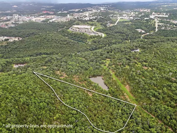 Branson, MO 65616,Tbd State Hwy 265