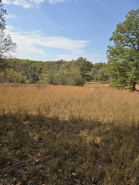 Lot 14 Arden Ridge, Hwy  O, Ava, MO 65608