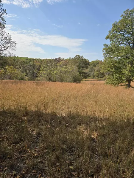 Lot 11 Arden Ridge, Ava, MO 65608