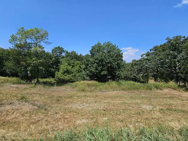 Blue Eye, MO 65611,Lot 42 Valencia CT