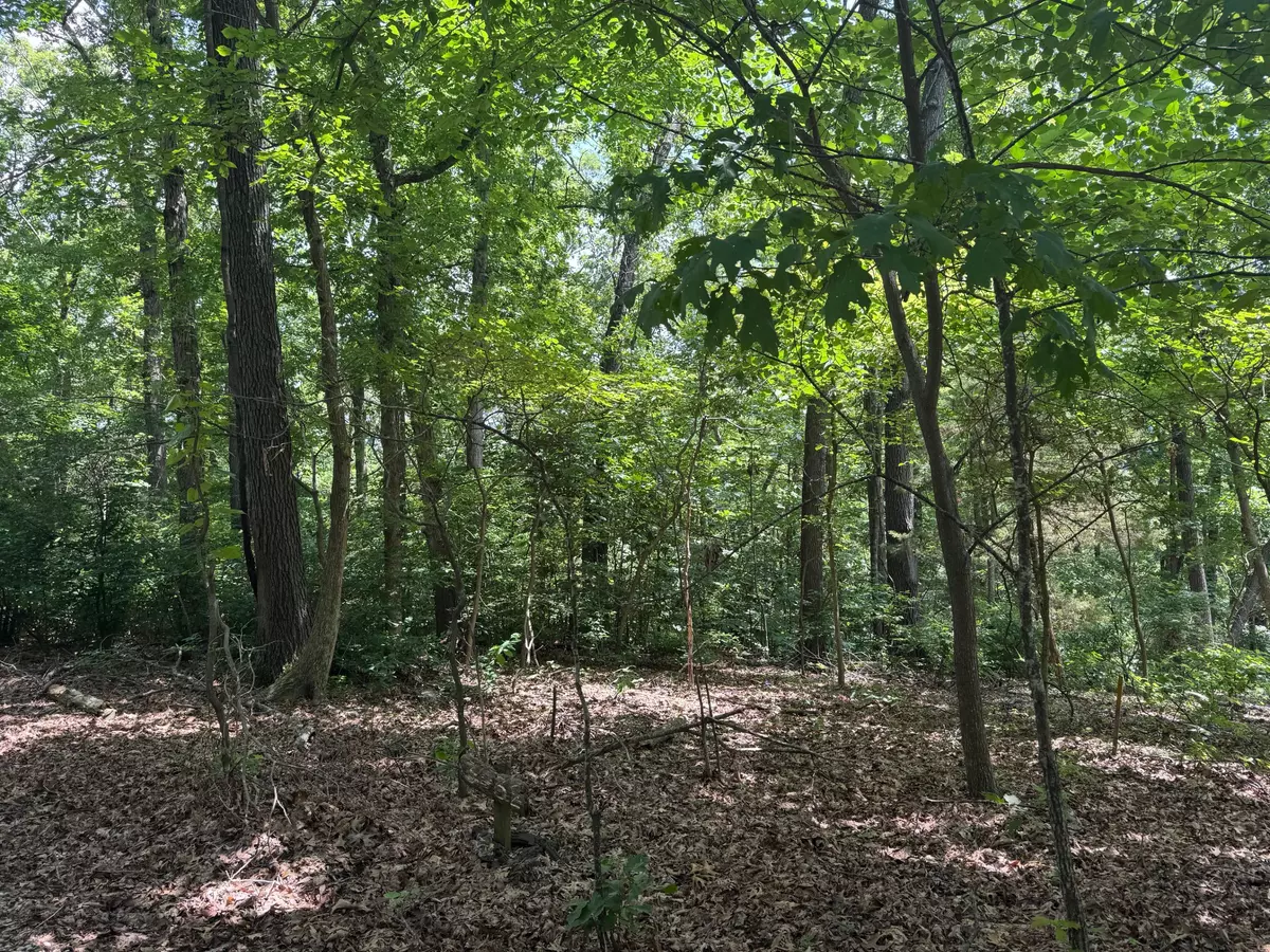 Cassville, MO 65625,000 Twin Springs Drive