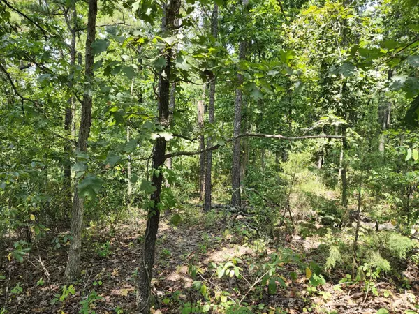 Tbd Country Air Lane, Mountain Grove, MO 65711