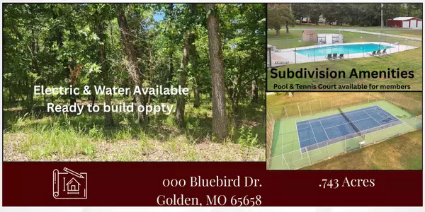 000 Bluebird Dr., Golden, MO 65658