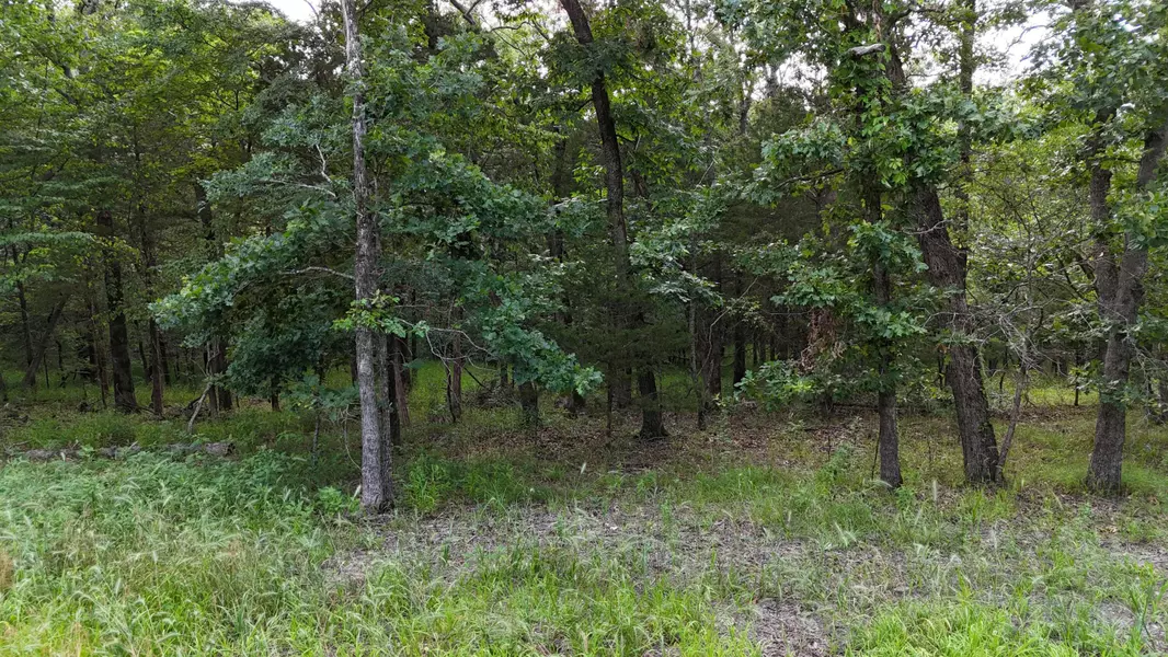 000 Bluebird Dr., Golden, MO 65658