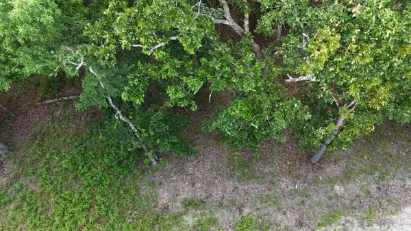 Golden, MO 65658,000 Bluebird Dr.